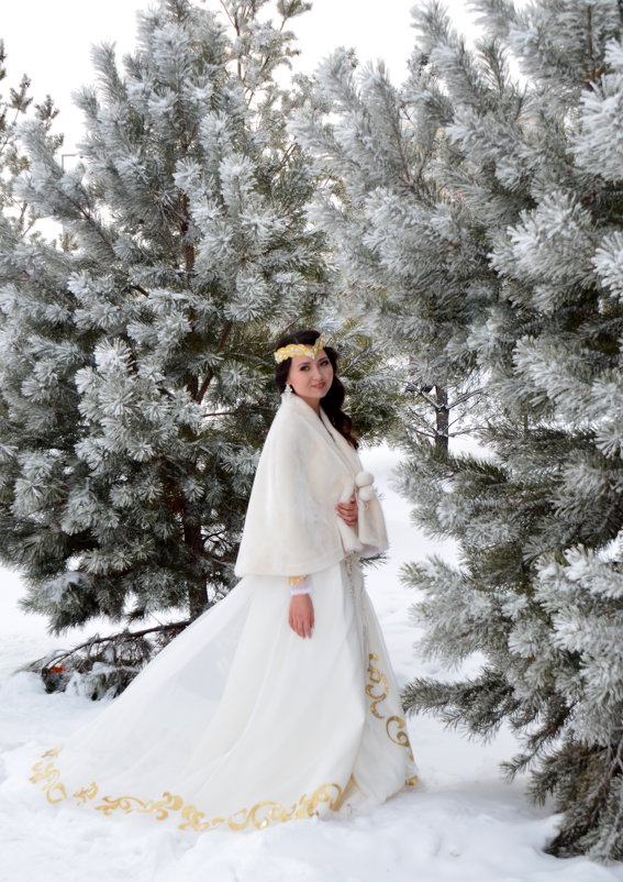 Невеста Зимой - Константин Шарун