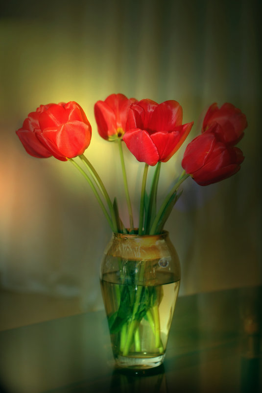 Тюльпаны и соты - Леонид 