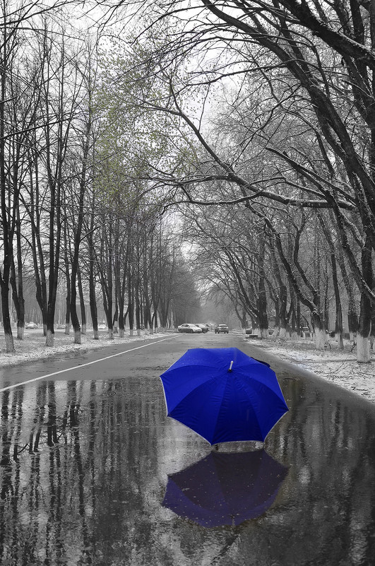 Вчера мне снился синий зонт... И завтра тоже будет снится... И послезавтра и потом... И так всегда - Сергей Коновалов