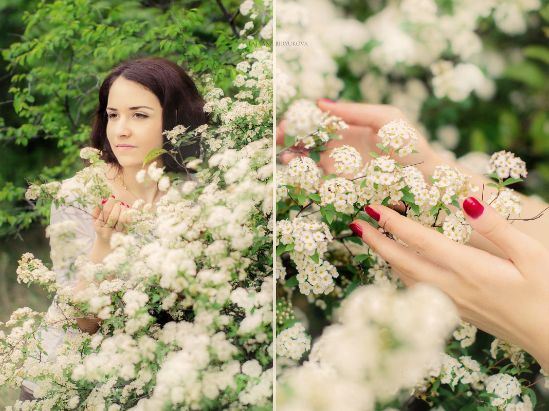 Цветение в саду - Татьяна Бирюкова