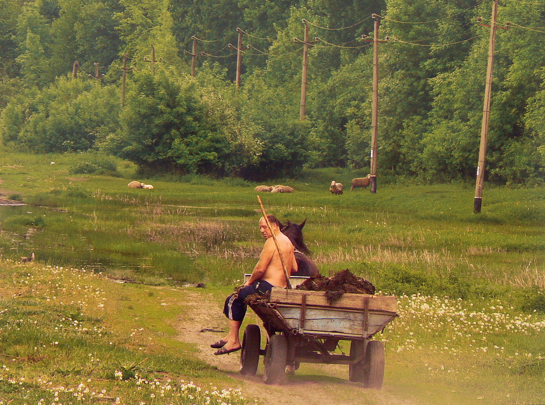 ...с.Голендры...вечереет... - Александр Садовский