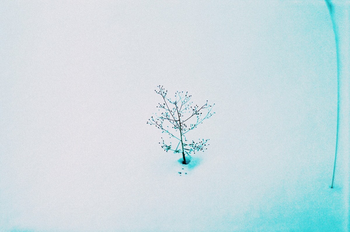 winter magic - Marina Tarakanova