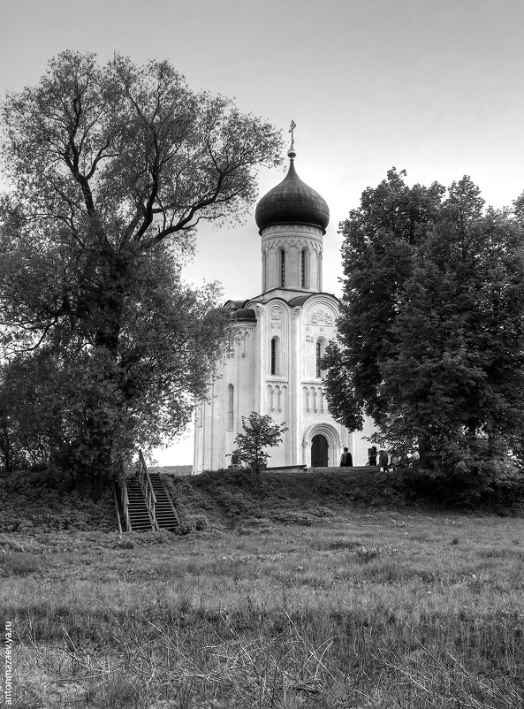 Черно-белые Покрова - Антон Мазаев