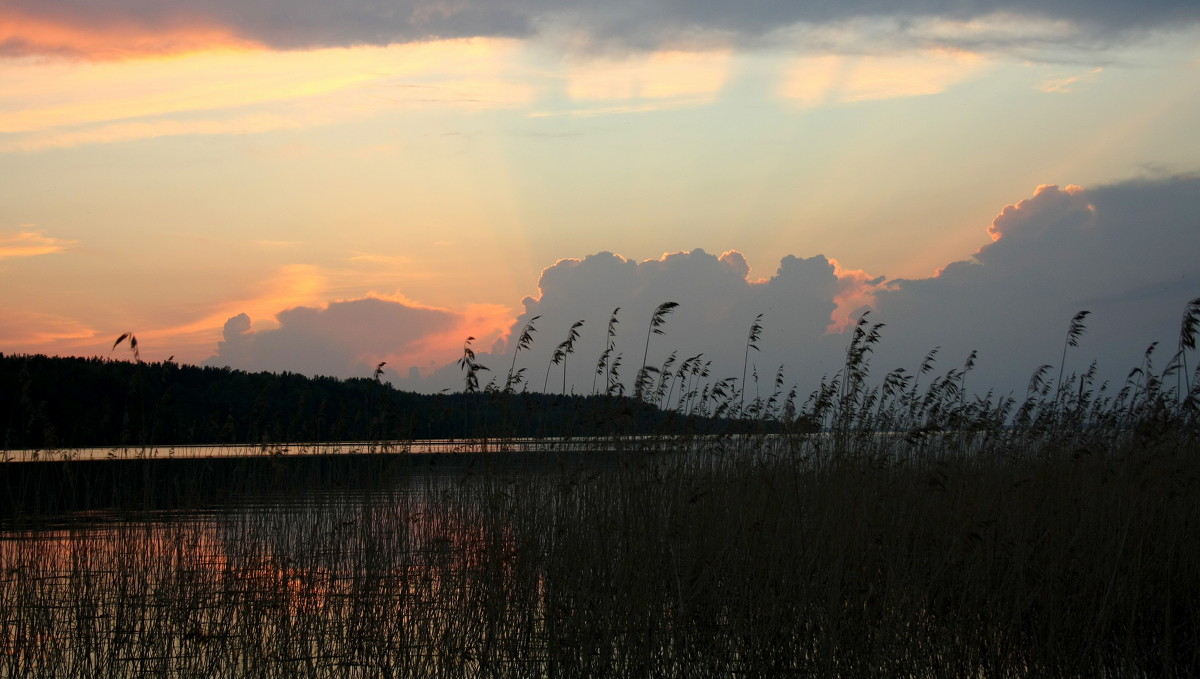 Закат на озере - Наталия Зыбайло