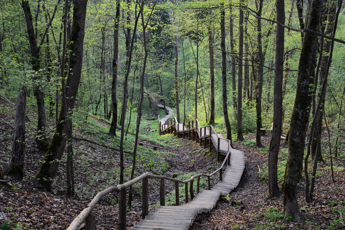 Stairs to unknown - Дмитрий Каминский