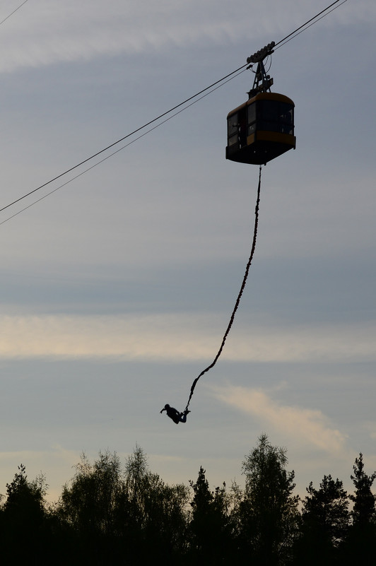 bungee jumping - Дмитрий Каминский