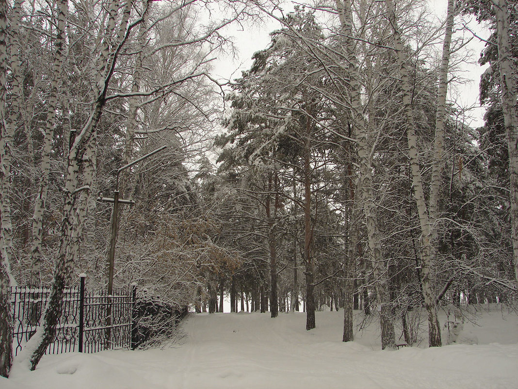 * - Елена Перминова