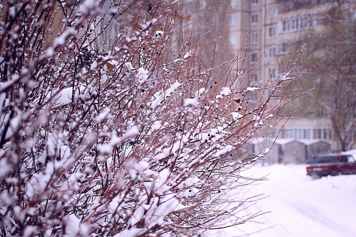 Зима пришла - Сергей Афанасьев
