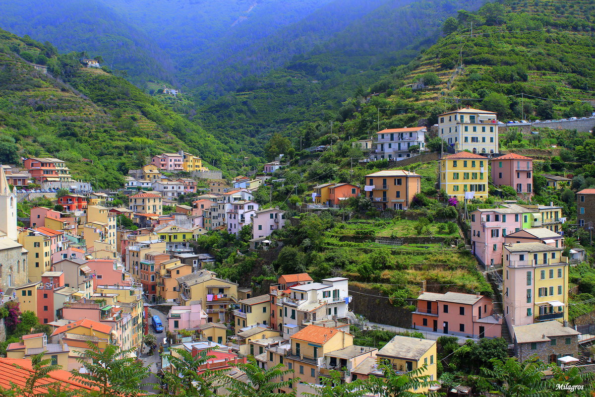 Italy. Cinque Terre - Milagros 