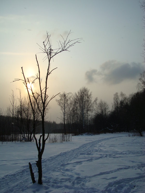 Воспоминания о настоящей зиме (2011-2012) - Андрей Лукьянов