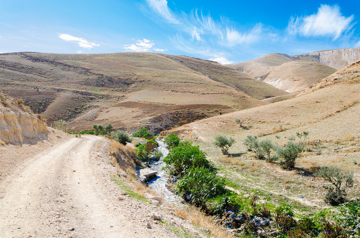 Река Кедрон - крупнейшая экологическая катастрофа Иудейской пустыни - Тарас Леонидов