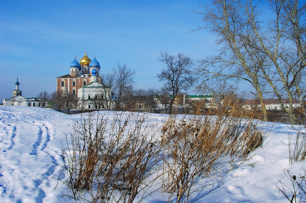 Вид на Рязанский Кремль с вала. - Лесо-Вед (Баранов)