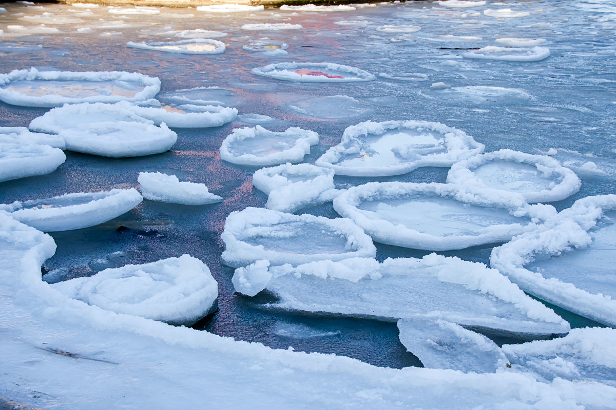 Ледяные лепестки  в Анапской бухте - Елена Васильева