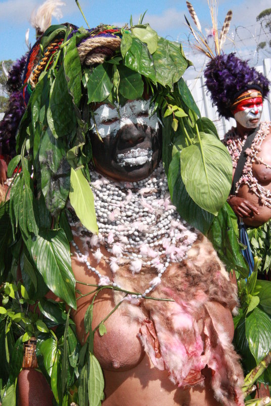 Ежегодный фестиваль "Синг-Синг" в Папуа Новой Гвинеи. - Антонина 