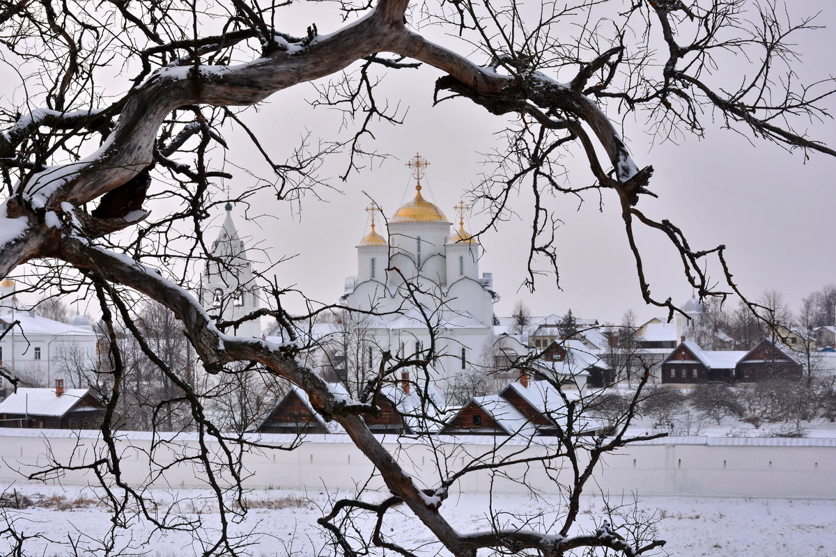 Рисунки зимнего дерева - Леонид Иванчук