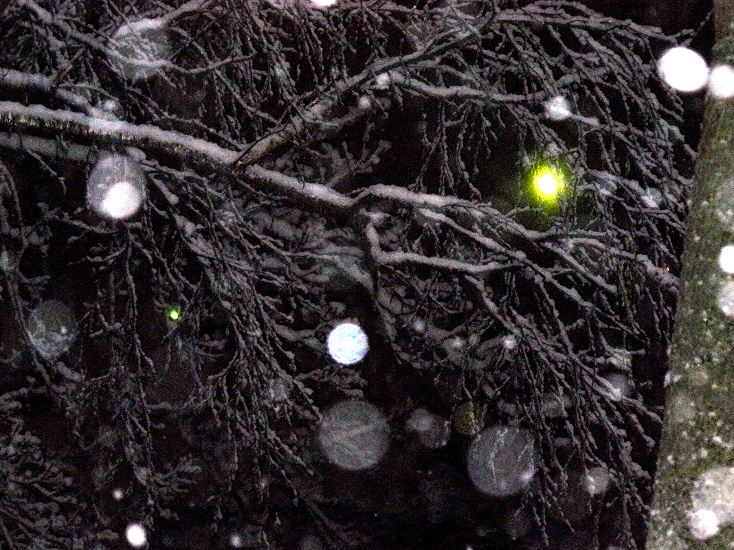 ночной снегопад (белые шары) - Александр Прокудин