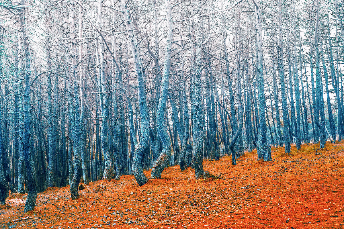 Танцующий лес - Lilinum (Анна Волкова)