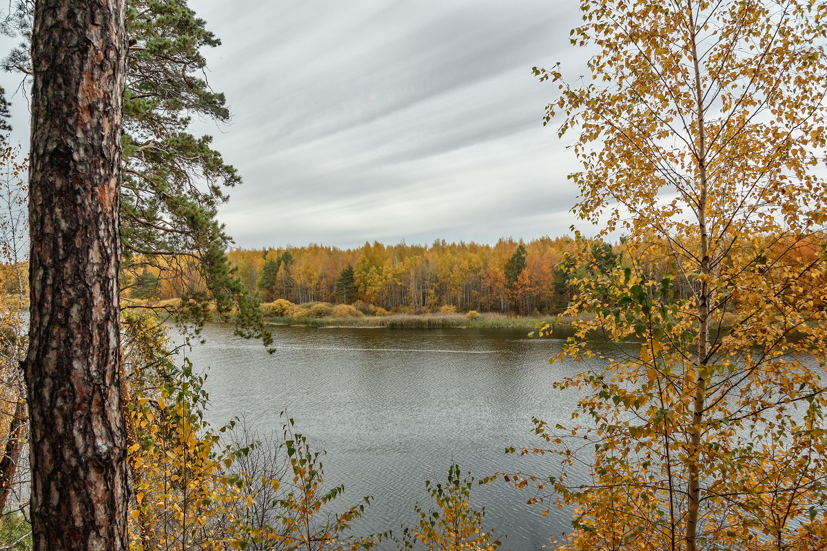 Осенние краски - Александр Романов