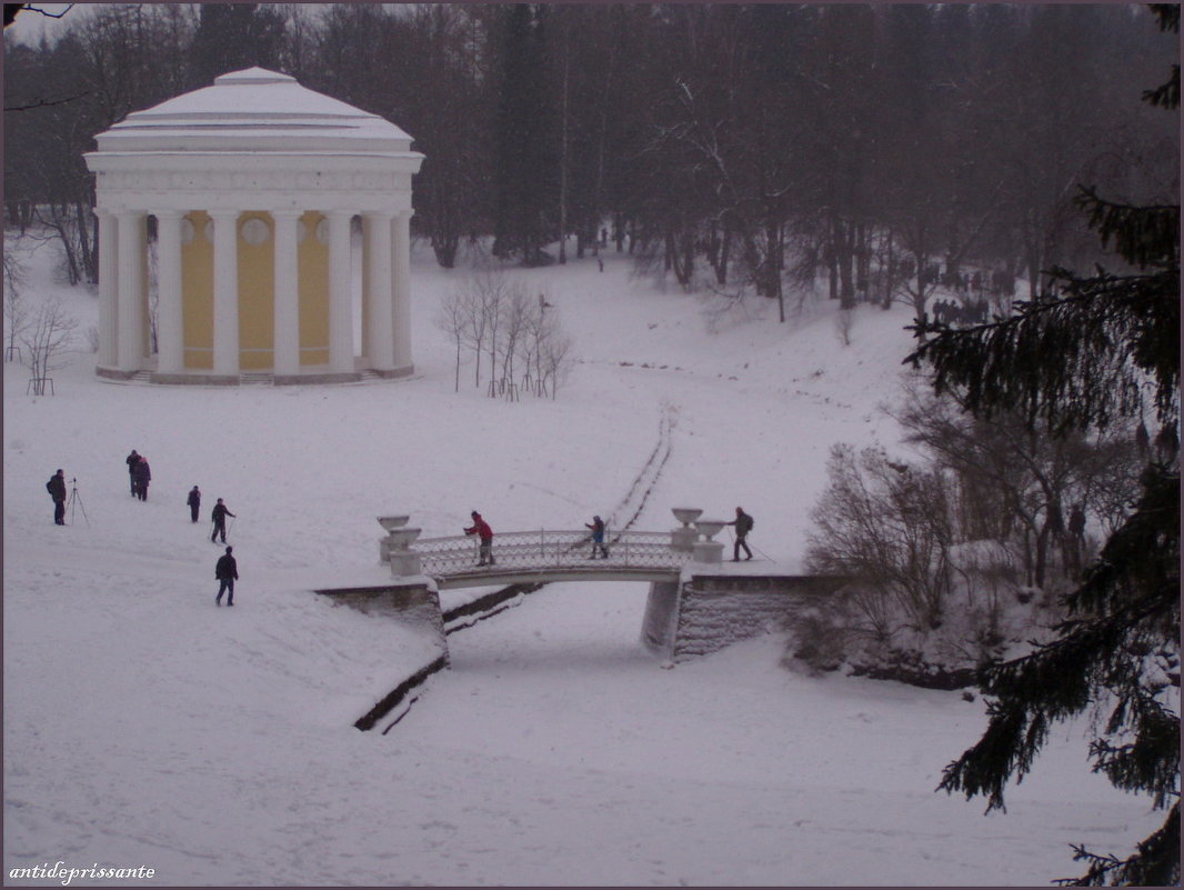 Зимний Павловск - vadim 