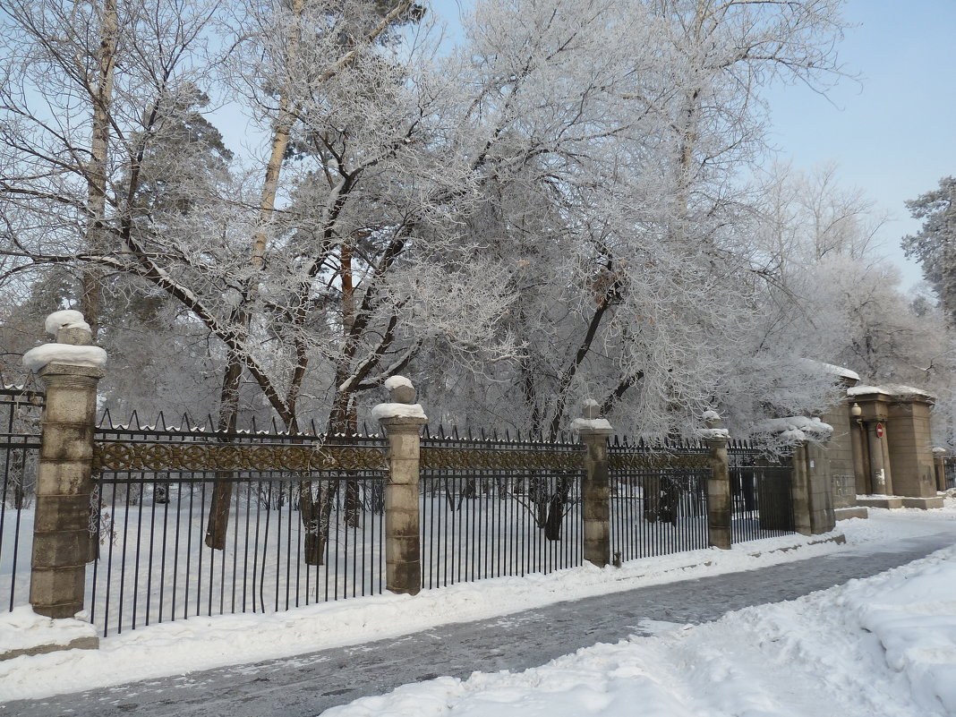 Зима в городе - Галина Минчук