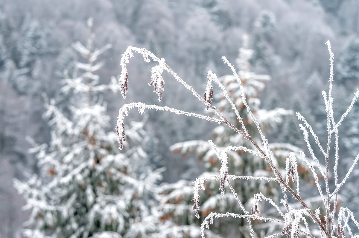 Зима в горах - Сергей Форос