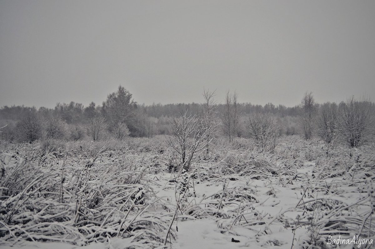 Зимнее поле - Алёна Бадьина
