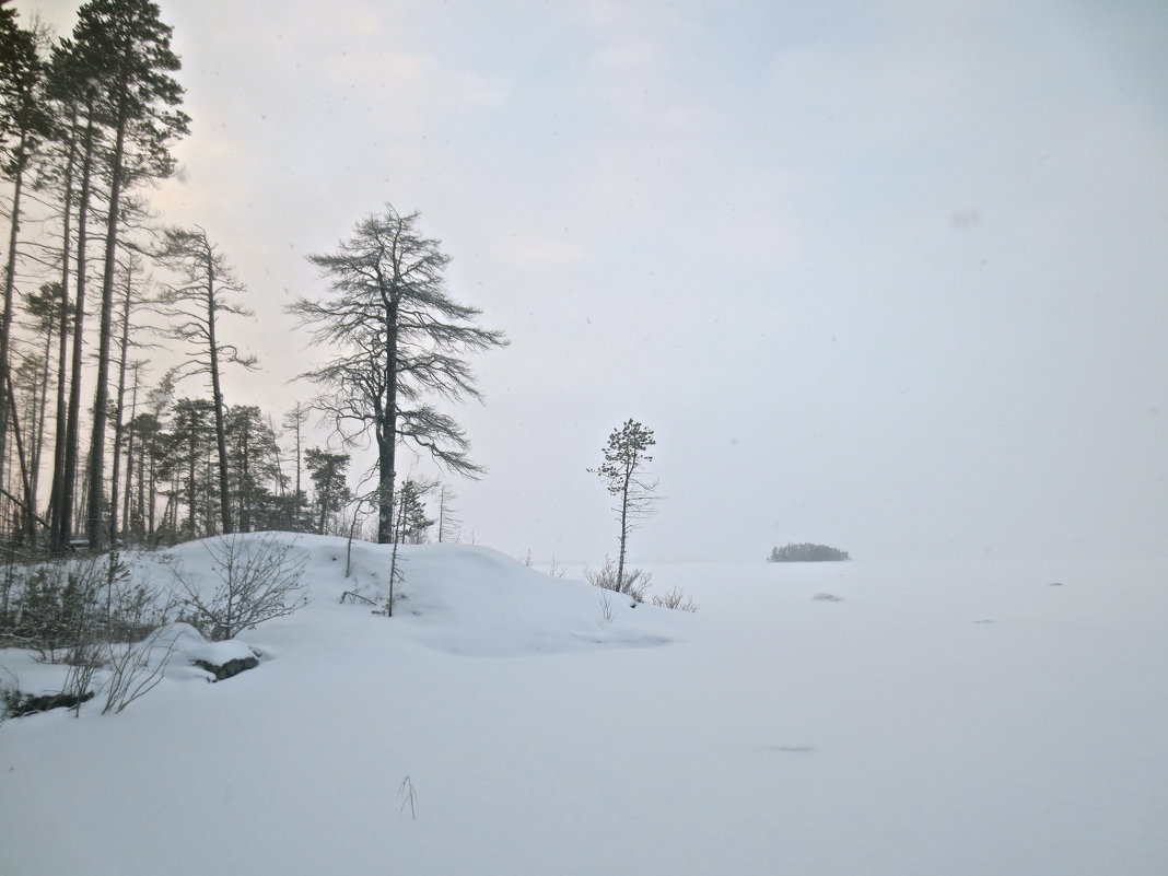 В СНЕЖНОЙ ПЕЛЕНЕ НА ЗАМЁРЗШЕМ ОЗЕРЕ - Елена 