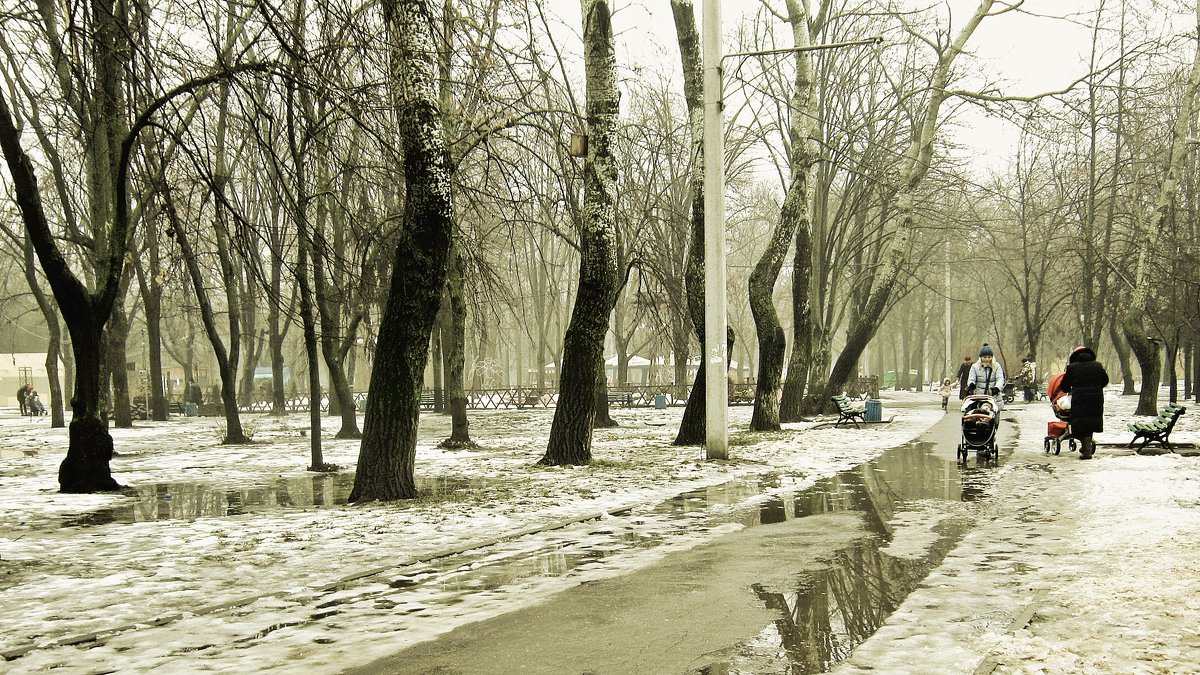 В туманном парке - Людмила 