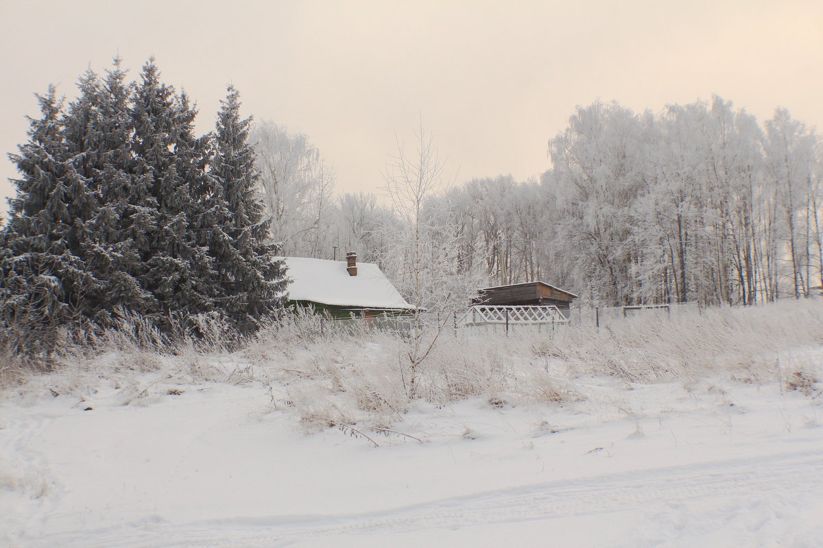 зимний пейзаж - Евгений Воронков 