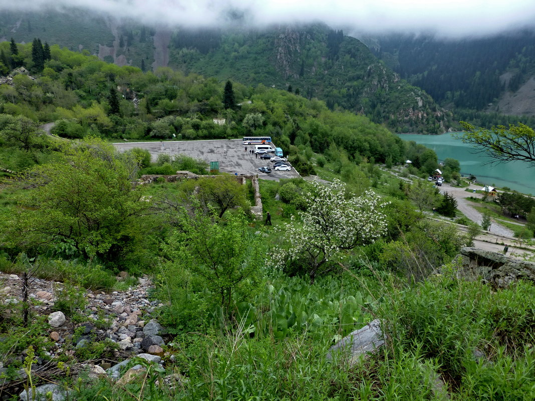 Nature Life. Окрестности Алматы. - Murat Bukaev 