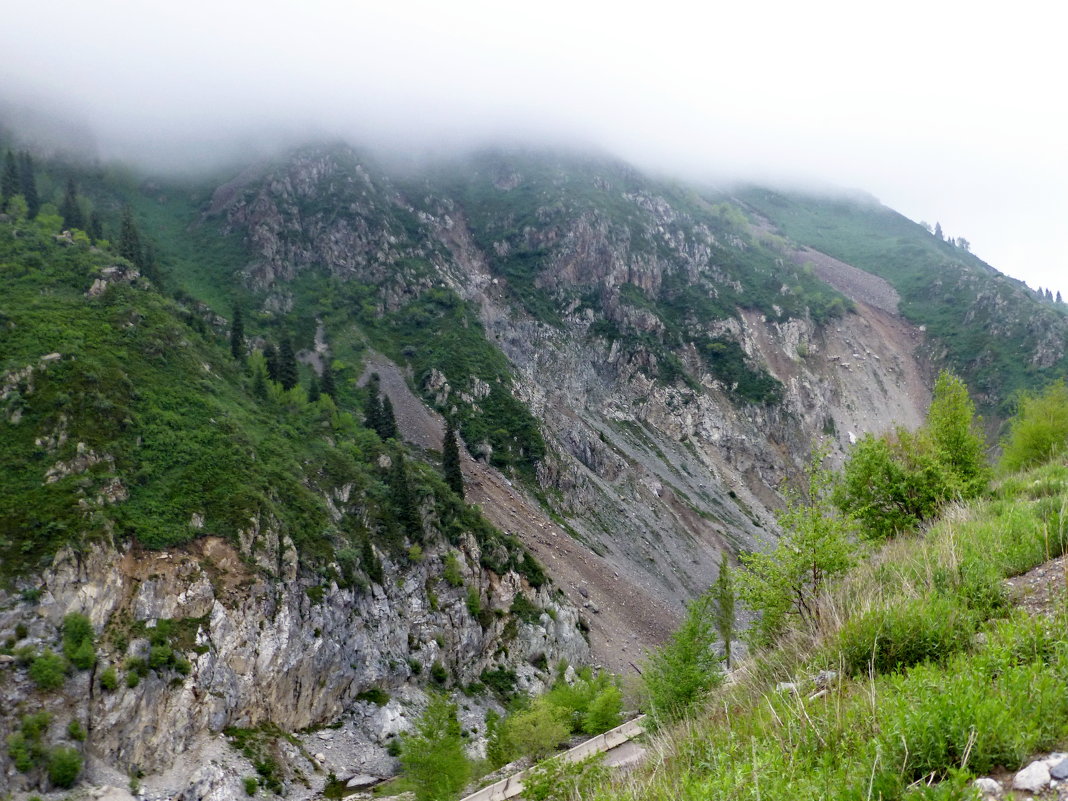 Nature Life. Окрестности Алматы. - Murat Bukaev 