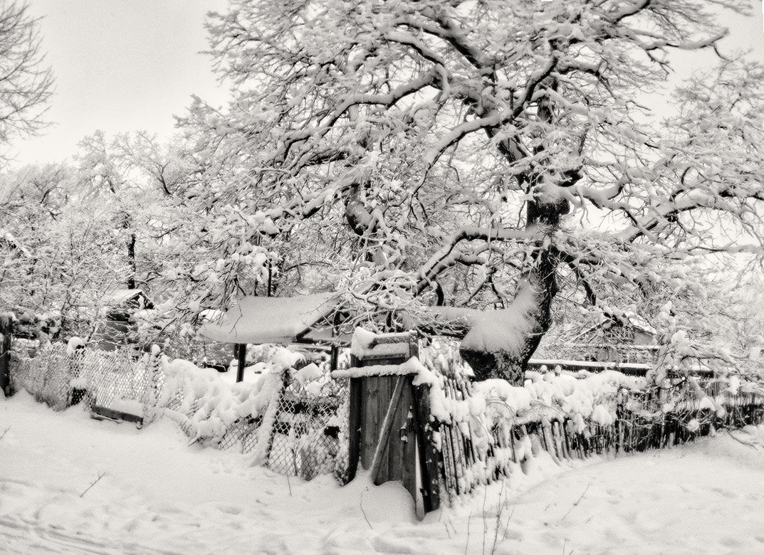 Просто так, со снежком в монокле - Андрей Селиванов