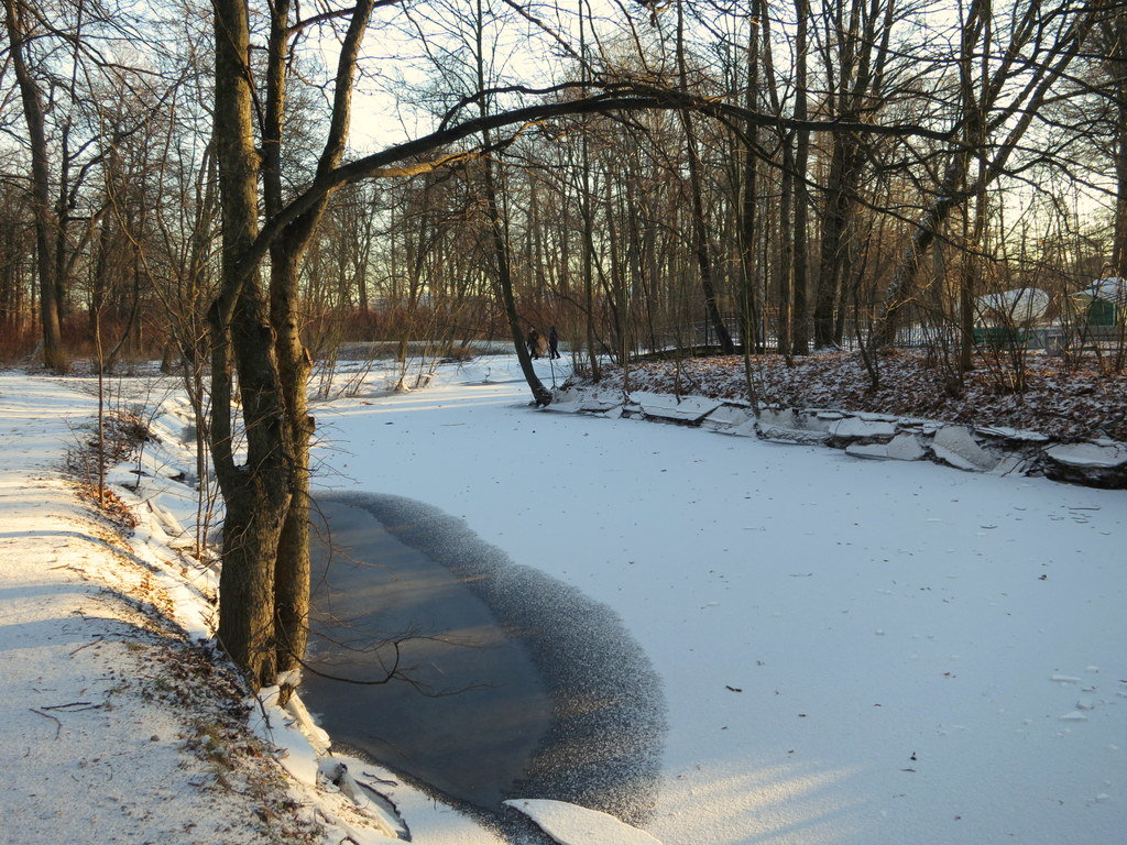 В зимнем парке. - Валентина Жукова