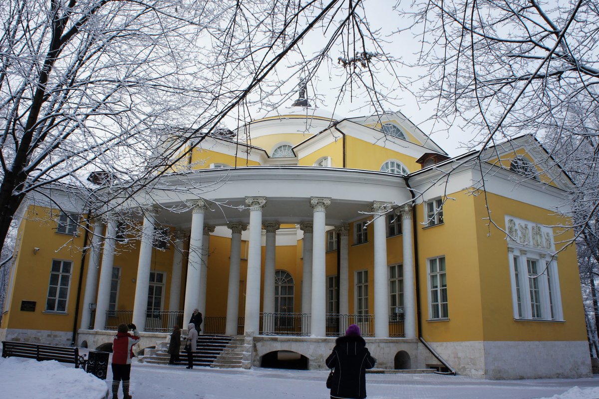 Главный господский дом-дворец - Елена Павлова (Смолова)