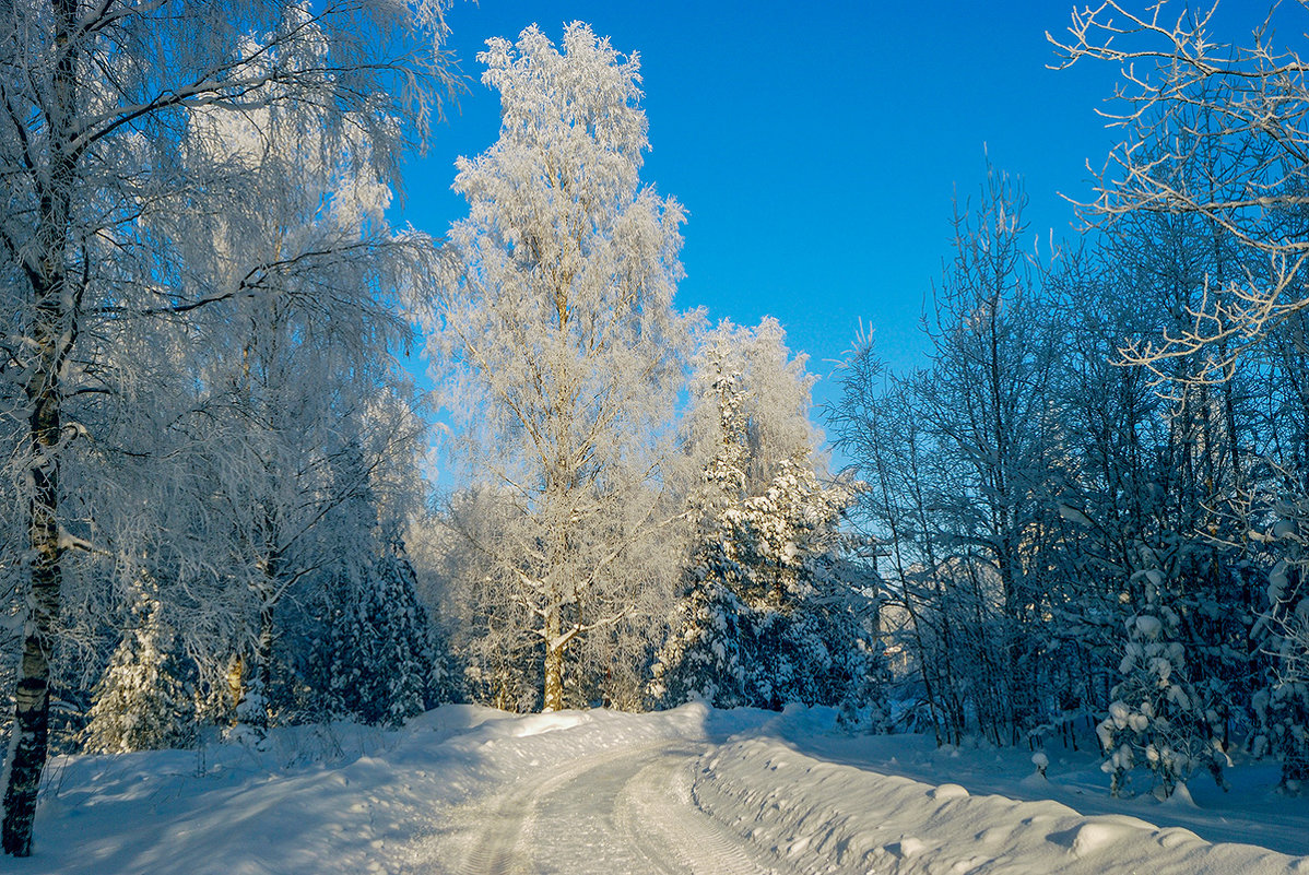 -20* - Игорь Николаич