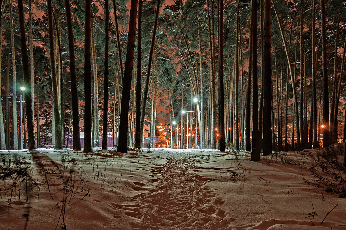 зимний вечер в парке - Galina 