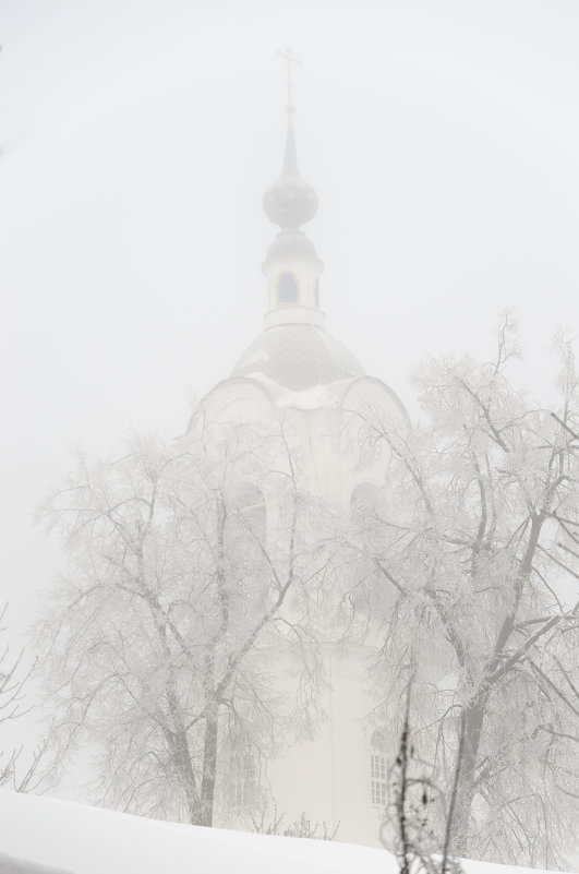 Январьский туман - Василий Либко