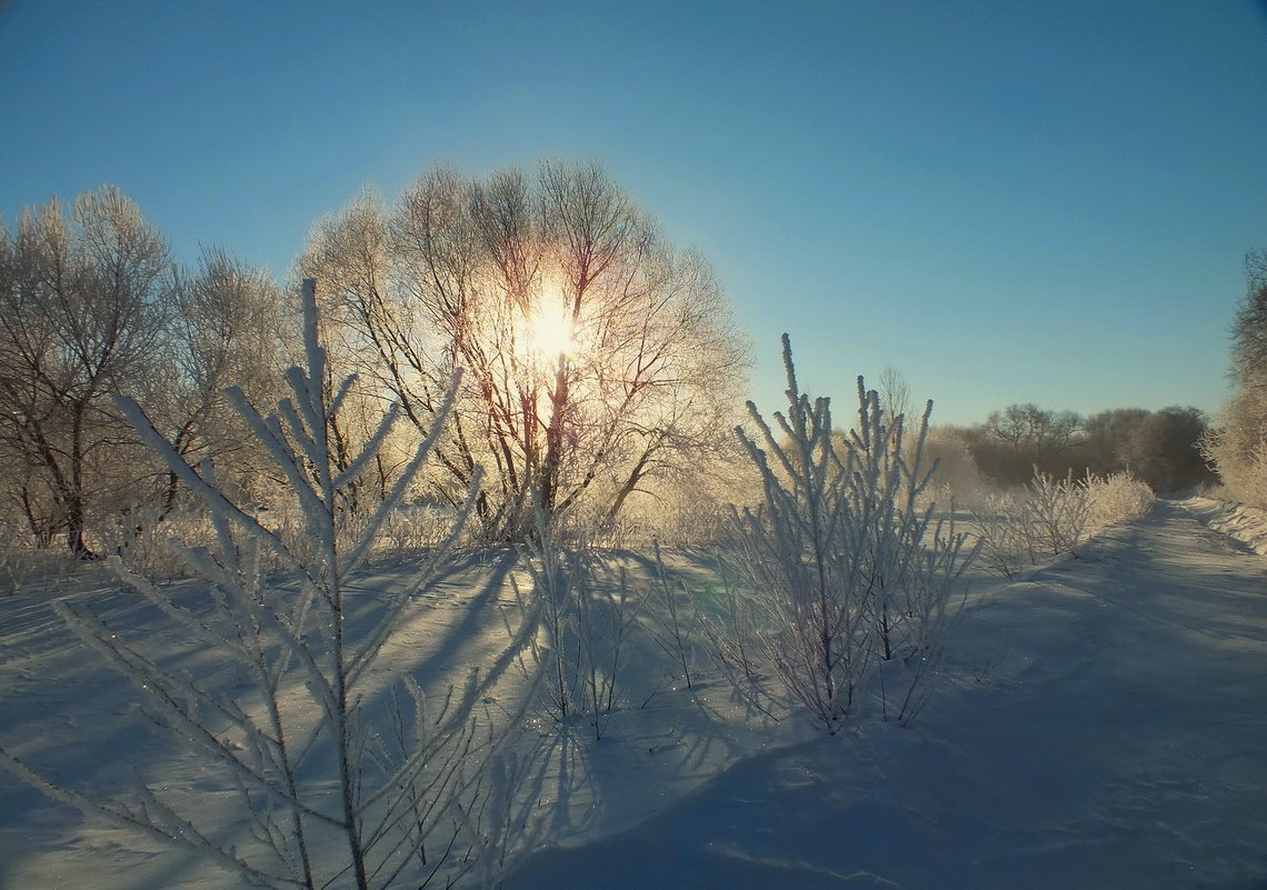 Зимнее утро - Валерий Козуб 