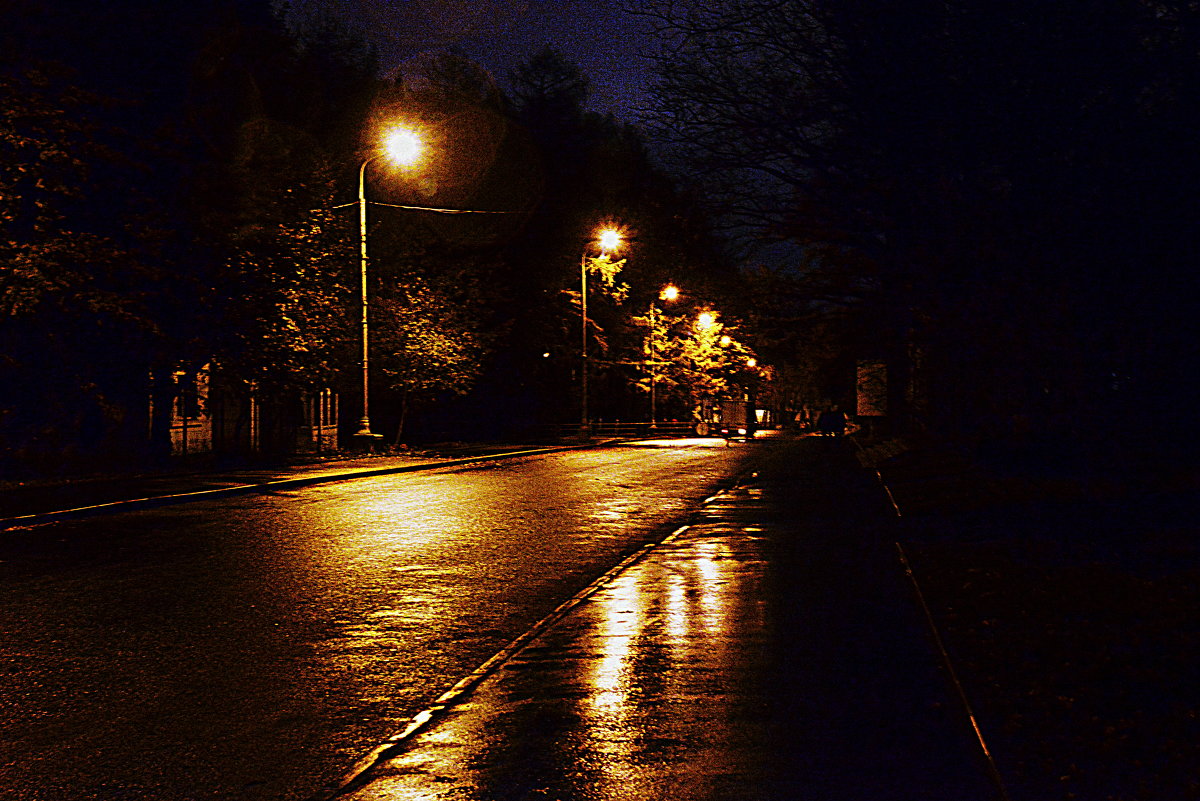 Ночная улица парка Останкино - Полина Бесчастнова