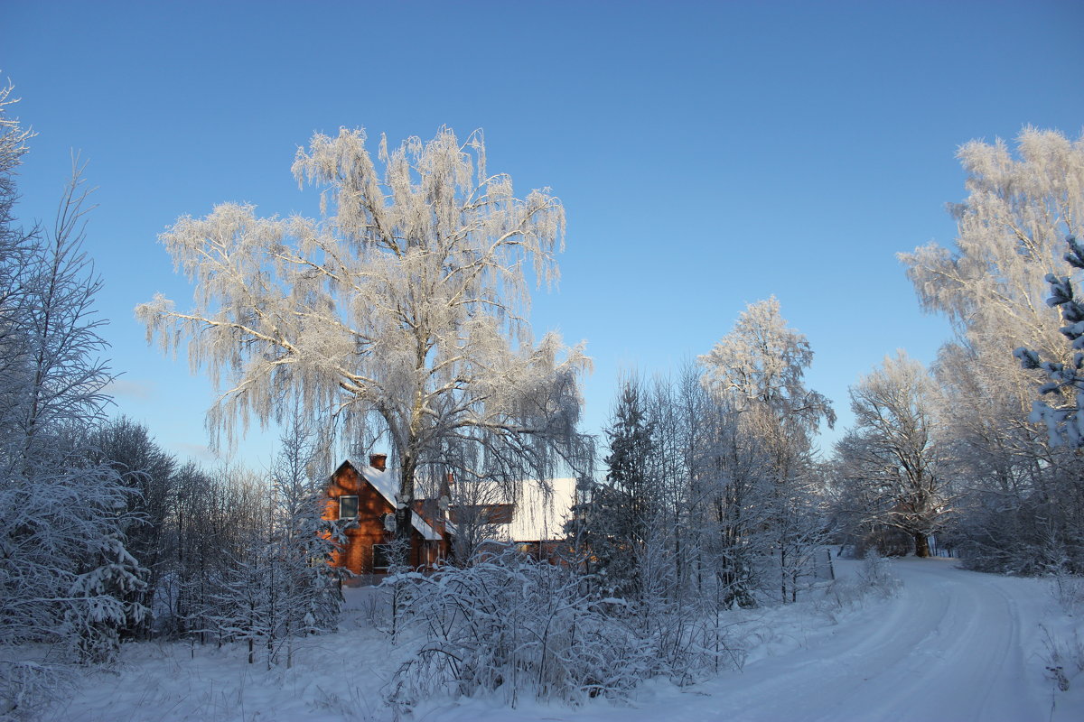 Зимний пейзаж - Mariya laimite