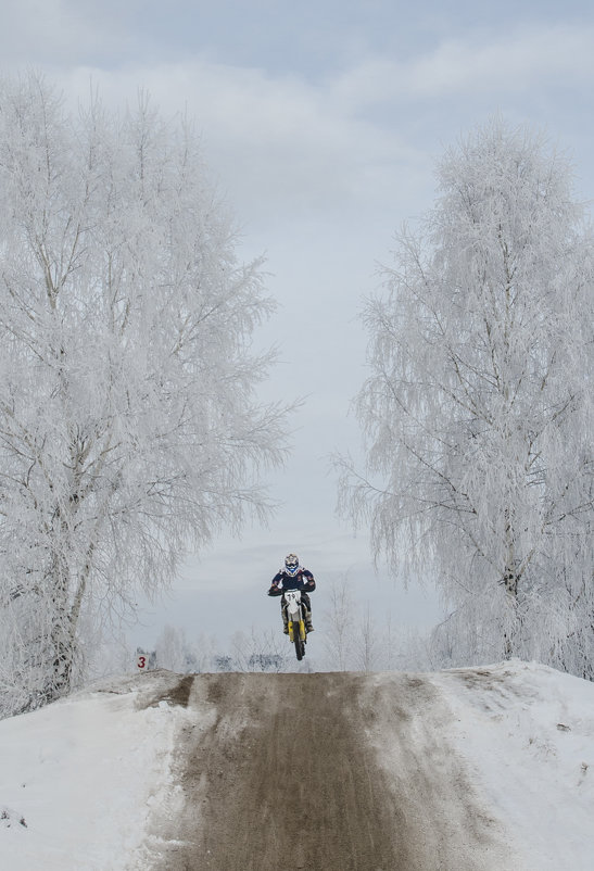 Прыжок в зиму - Василий Либко