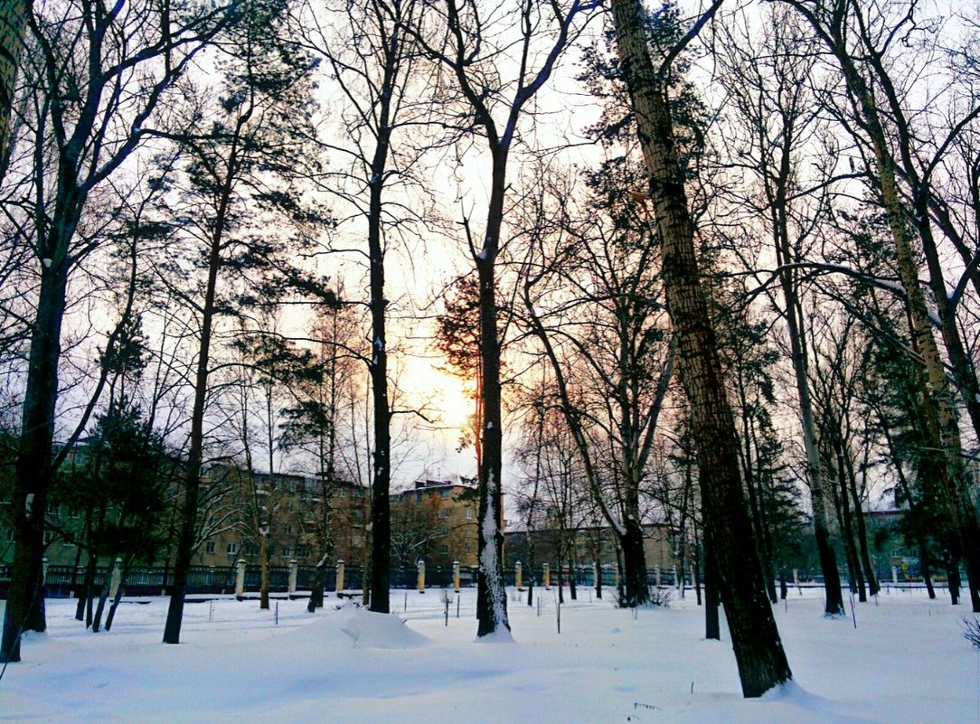 Пьяное Солнце - Алексей Лукаев