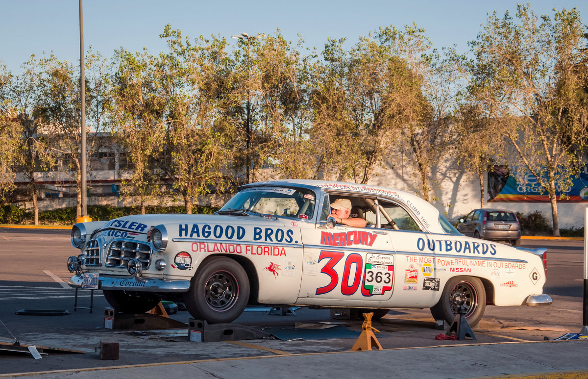 Chrysler 1955 - Elena Spezia