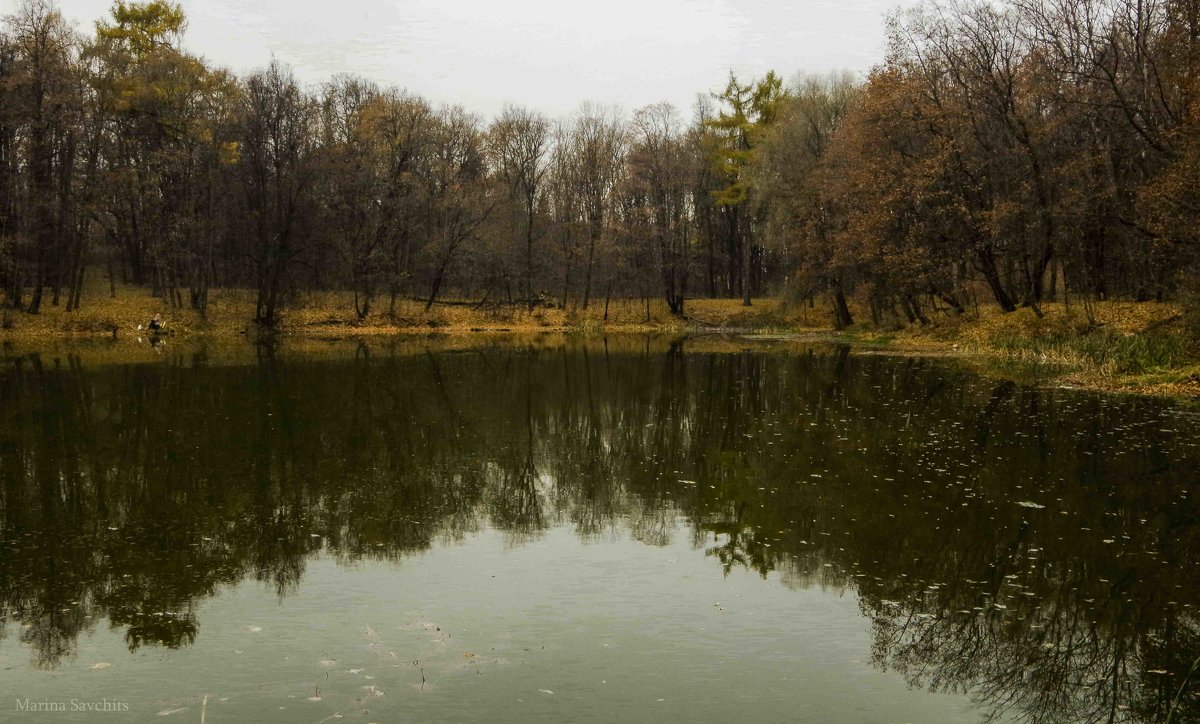 Озеро в старом парке - Марина Савчиц