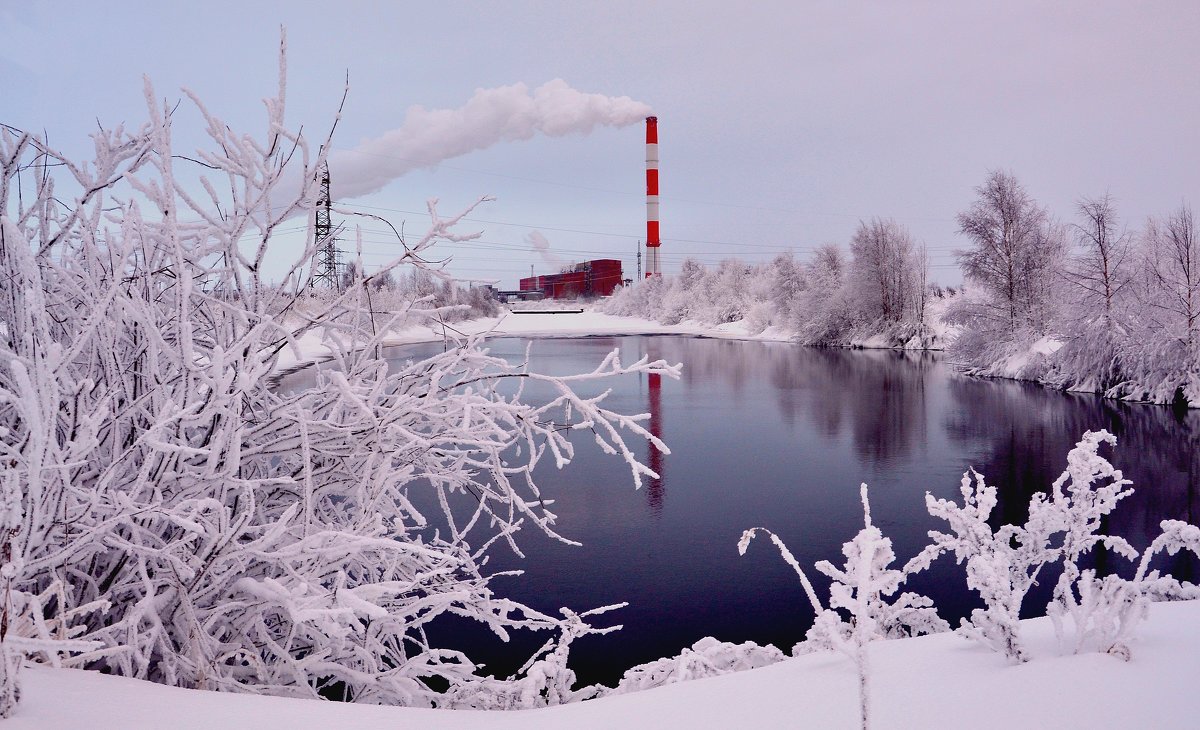 -20, а он не замерзает... - Елена Третьякова