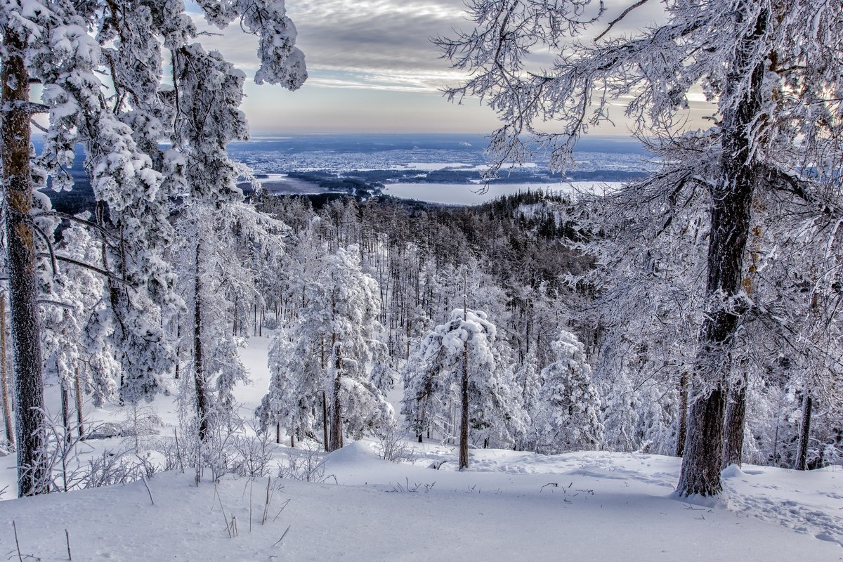 Winter morning in the mountains - Dmitry Ozersky