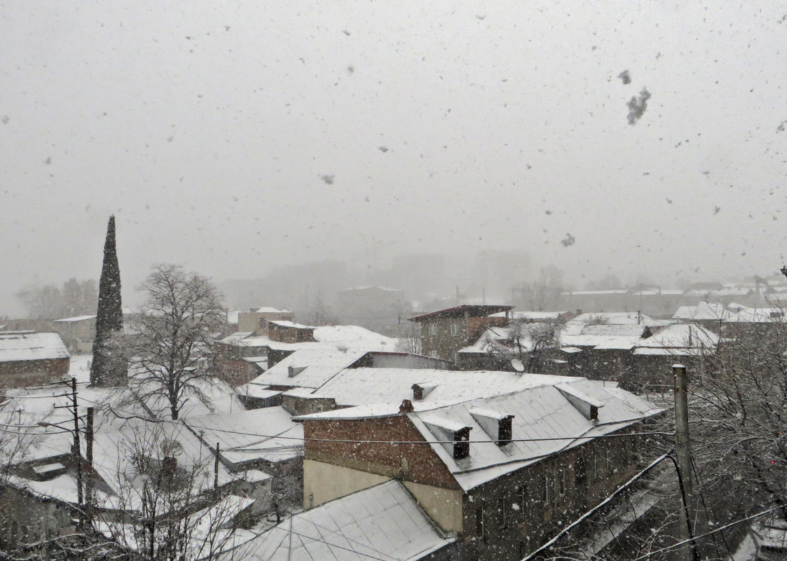 В Тбилиси снег - первый - Наталья (D.Nat@lia)