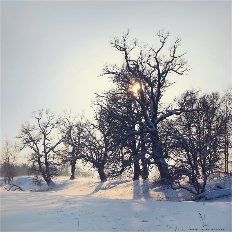 Зимний пейзаж №3 - Алексей Макшаков