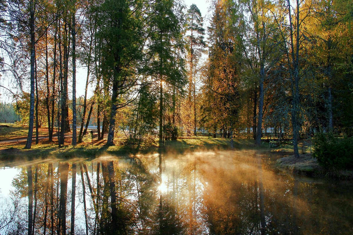 осень золотая - Нина 