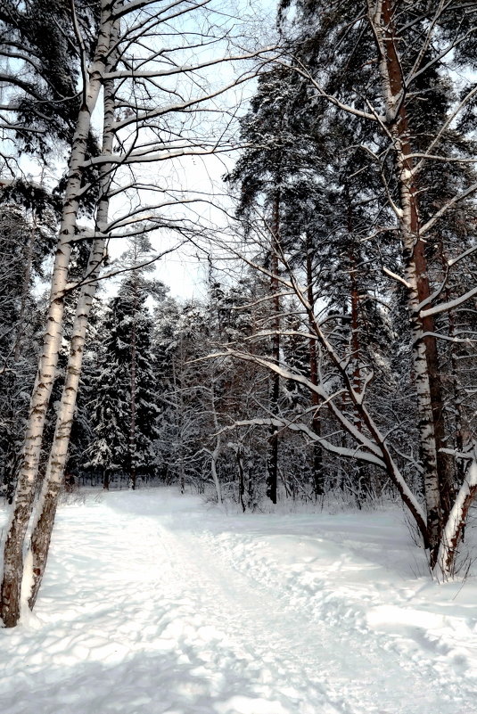 ... - Александр Липецкий